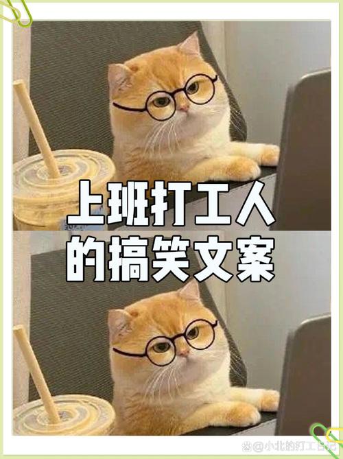 太阳老板:没有人可以说我不在乎 摆烂不是我的DNA